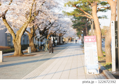 十和田駒街道早朝桜満開（青森県十和田市） 122672392