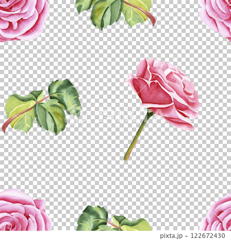 Watercolor seamless pattern of botanical flowers and leaves on isolated background. Garden pink rose. Realistic illustration. Hand drawn in botanical style. Image for your design. 122672430