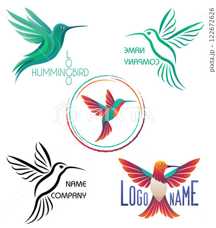 hummingbird beautiful little bird stylish logo for your business set logotype vector illustration 122672626
