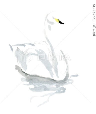 水に浮かぶ白鳥 水に浮かぶ白鳥 122674249