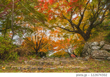 浜松市の鳥羽山公園の夕方の紅葉の風景(静岡県) 浜松市の鳥羽山公園の夕方の紅葉の風景(静岡県) 122674302