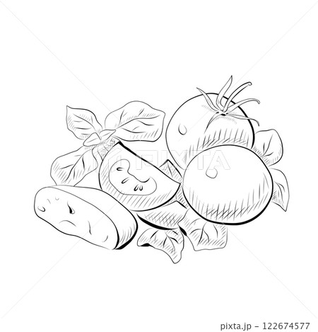 Line drawing. Line art of food - salad with greens and tomatoes. 122674577