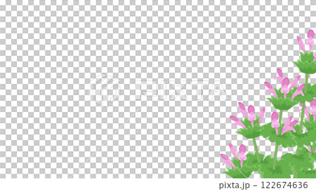 Frame illustration of Lamium amplexicaule Frame illustration of Lamium amplexicaule 122674636