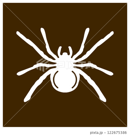 spider icon vector illustration 122675386