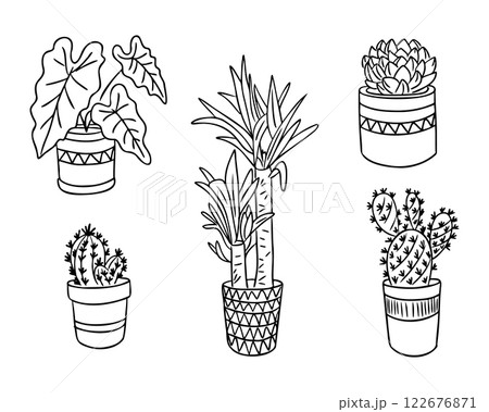 Minimalist illustration of various potted plants 122676871