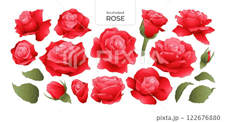 Set of isolated Rose. Cute flower illustration in hand drawn style. Vivid red color tone on a transparent background. Volume 2. Set of isolated Rose. Cute flower illustration in hand drawn style. Vivid red color tone on a transparent background. Volume 2. 122676880