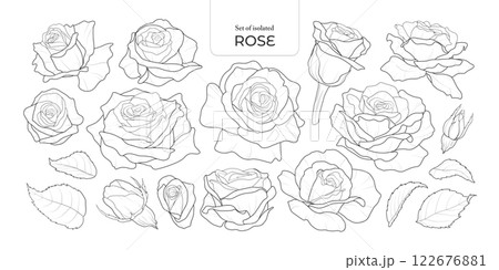 Set of isolated Rose. Cute flower illustration in hand drawn style. Black outline and white plain on a transparent background. Volume 2. 122676881
