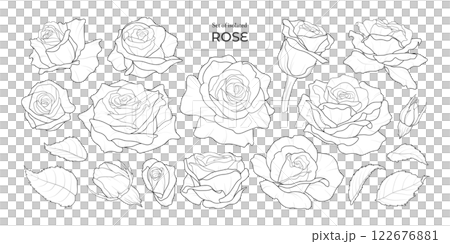 Set of isolated Rose. Cute flower illustration in hand drawn style. Black outline and white plain on a transparent background. Volume 2. 122676881