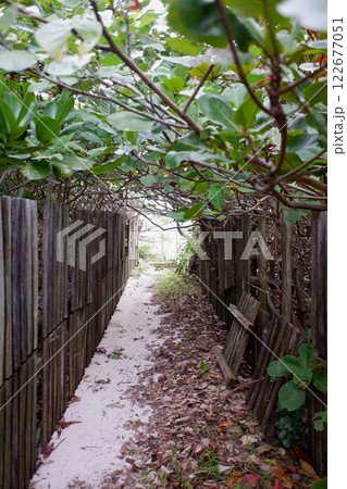 沖縄県 野甫島 海辺への道 沖縄県 野甫島 海辺への道 122677051