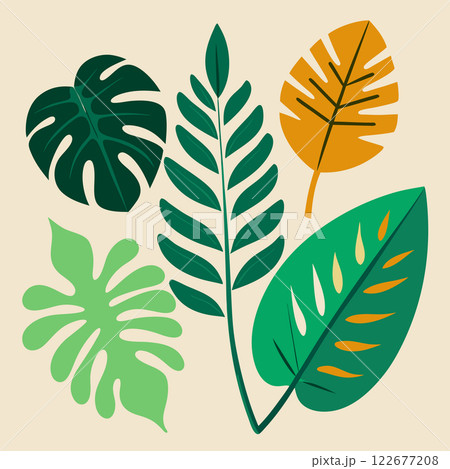 Tropical Leaves Vector Set  Exotic Botanical Illustration Design for Nature Branding and Creative Projects 122677208