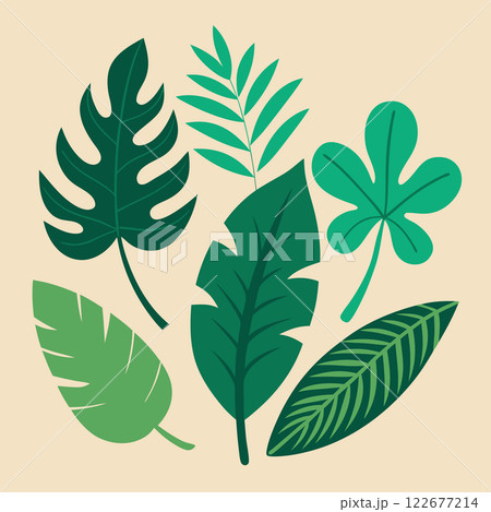 Tropical Leaves Vector Set  Exotic Botanical Illustration Design for Nature Branding and Creative Projects 122677214