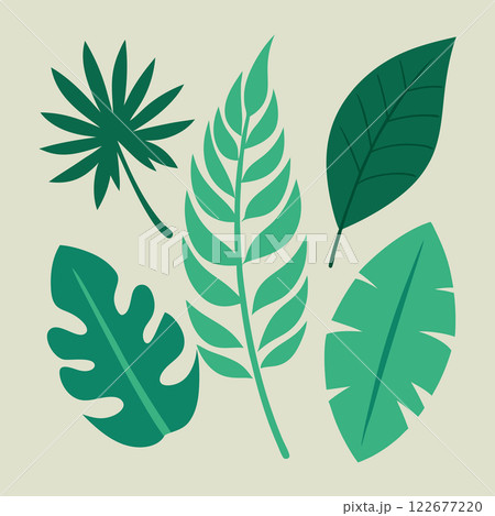 Tropical Leaves Vector Set Exotic Botanical Illustration Design for Nature Branding and Creative Projects Tropical Leaves Vector Set Exotic Botanical Illustration Design for Nature Branding and Creative Projects 122677220
