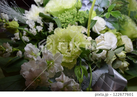 Close-Up of Delicate White and Green Blooms Close-Up of Delicate White and Green Blooms 122677601