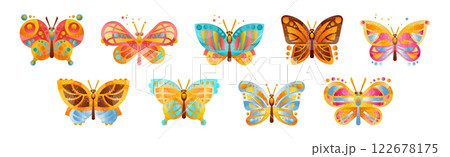 Exotic Butterfly and Moth Flat Colorful Vector Set 122678175