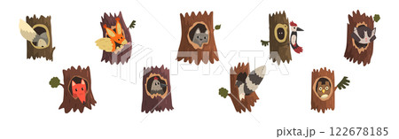 Animal Character in Hollow Tree Trunk Vector Set Animal Character in Hollow Tree Trunk Vector Set 122678185