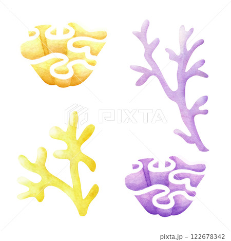 Coral in pastel lilac and yellow color watercolor isolated illustration set in cartoon style. Sketch of marine fauna. Hand drawn underwater sea colorful reef for kids marine design and nautical print. Coral in pastel lilac and yellow color watercolor isolated illustration set in cartoon style. Sketch of marine fauna. Hand drawn underwater sea colorful reef for kids marine design and nautical print. 122678342