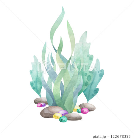 Seaweed, pebbles, stones and algae watercolor isolated illustration in cartoon style. Hand drawn sea underwater composition in green, yellow and pink colors for kids marine design and nautical print. Seaweed, pebbles, stones and algae watercolor isolated illustration in cartoon style. Hand drawn sea underwater composition in green, yellow and pink colors for kids marine design and nautical print. 122678353