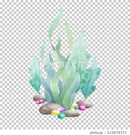 Seaweed, pebbles, stones and algae watercolor isolated illustration in cartoon style. Hand drawn sea underwater composition in green, yellow and pink colors for kids marine design and nautical print. Seaweed, pebbles, stones and algae watercolor isolated illustration in cartoon style. Hand drawn sea underwater composition in green, yellow and pink colors for kids marine design and nautical print. 122678353