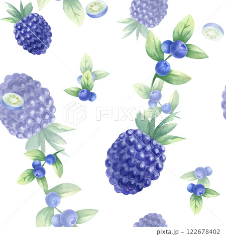 Blueberry and blackberry watercolor seamless pattern. Hand drawn isolated illustration juicy wild berries bilberry and dewberry for kitchen textile, fabric, food packaging, healthy food and recipes. Blueberry and blackberry watercolor seamless pattern. Hand drawn isolated illustration juicy wild berries bilberry and dewberry for kitchen textile, fabric, food packaging, healthy food and recipes. 122678402