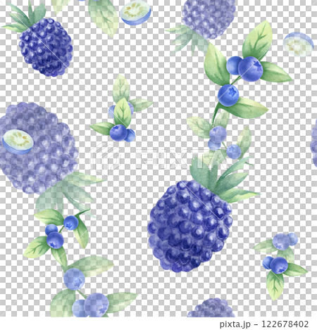 Blueberry and blackberry watercolor seamless pattern. Hand drawn isolated illustration juicy wild berries bilberry and dewberry for kitchen textile, fabric, food packaging, healthy food and recipes. Blueberry and blackberry watercolor seamless pattern. Hand drawn isolated illustration juicy wild berries bilberry and dewberry for kitchen textile, fabric, food packaging, healthy food and recipes. 122678402