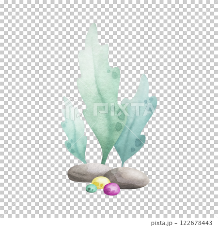 Seaweed, pebbles, stones and algae watercolor isolated illustration in cartoon style. Hand drawn sea underwater composition in green, yellow and pink colors for kids marine design and nautical print. Seaweed, pebbles, stones and algae watercolor isolated illustration in cartoon style. Hand drawn sea underwater composition in green, yellow and pink colors for kids marine design and nautical print. 122678443