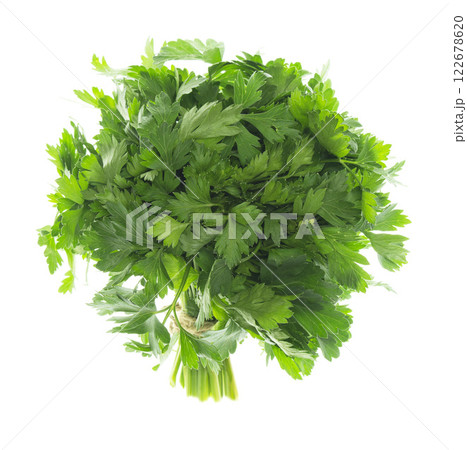 Parsley bunch Isolated without shadow on white. Parsley herb leaves. green sprig of parsley. Parsley bunch Isolated without shadow on white. Parsley herb leaves. green sprig of parsley. 122678620