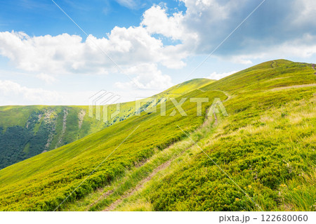 mountain landscape with path uphill. travel destination. beautiful nature scenery with steep grassy slopes in summer. trail to the mountain top. sunny day with clouds on the sky. vacation season 122680060