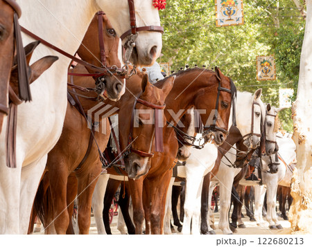 Elegant horses and riders at the vibrant Seville Fair 122680213