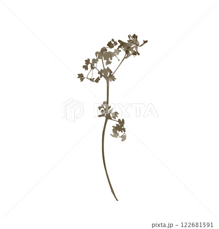 Rough edges brown dried floral sinlouette 122681591