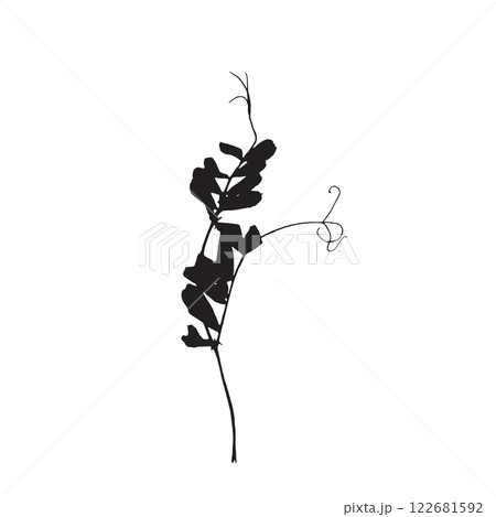 Rough edges dried floral sinlouette 122681592
