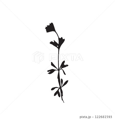 Rough edges dried floral sinlouette 122681593
