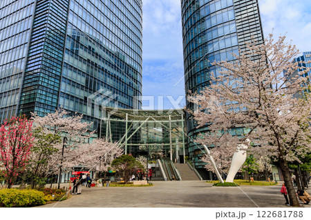 東京 千代田区 神田淡路町 ワテラスの桜 東京 千代田区 神田淡路町 ワテラスの桜 122681788