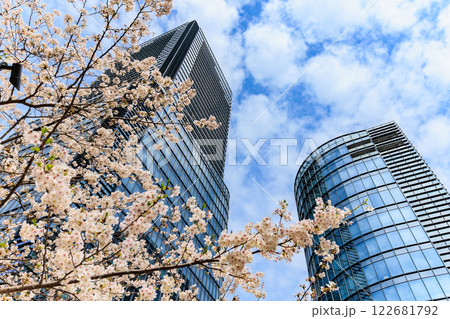 東京　千代田区 神田淡路町　ワテラスの桜 122681792