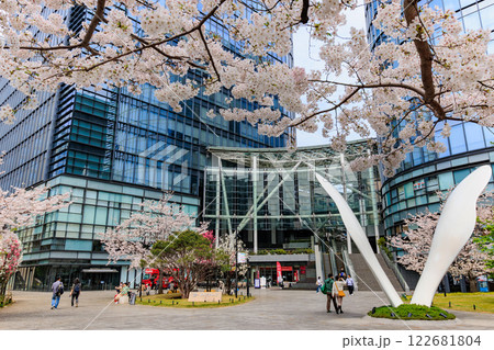 東京 千代田区 神田淡路町 ワテラスの桜 東京 千代田区 神田淡路町 ワテラスの桜 122681804