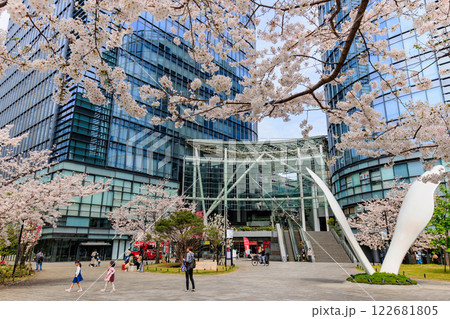 東京 千代田区 神田淡路町 ワテラスの桜 東京 千代田区 神田淡路町 ワテラスの桜 122681805