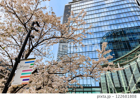 東京 千代田区 神田淡路町 ワテラスの桜 東京 千代田区 神田淡路町 ワテラスの桜 122681808