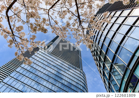 東京　千代田区 神田淡路町　ワテラスの桜 122681809