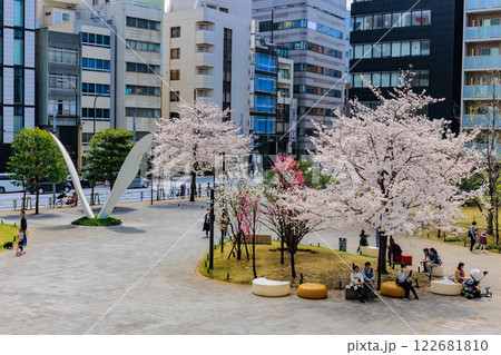 東京　千代田区 神田淡路町　ワテラスの桜 122681810
