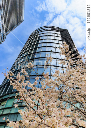 東京 千代田区 神田淡路町 ワテラスの桜 東京 千代田区 神田淡路町 ワテラスの桜 122681812