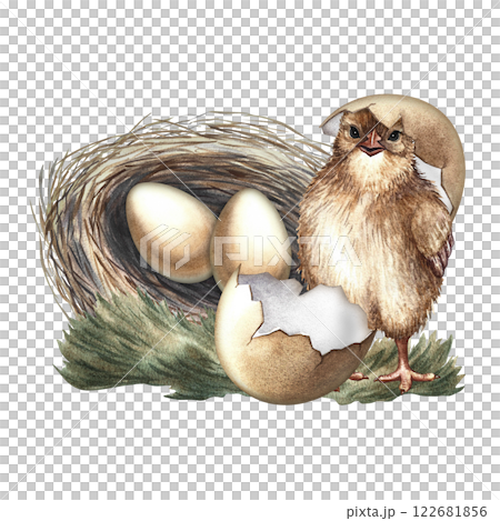 Cute little hatched chick next to the nest and eggs. A hand-drawn watercolor illustration. Highlight it. For greeting cards and Easter invitations, for packaging and labels, posters, sticker and print 122681856