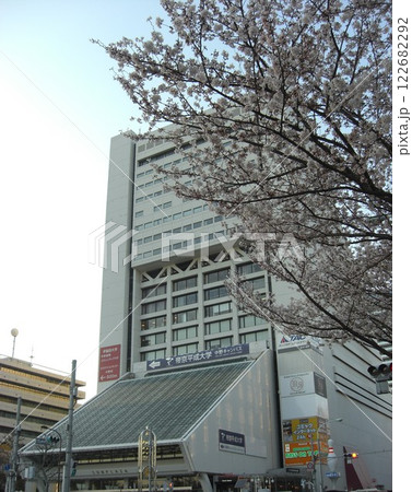 桜と中野サンプラザ 122682292