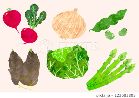 春野菜 122683805