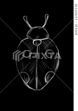Hand Drawn Illustration One Ladybug Clipart Graphic Black and White Clipart for Menu Design, Interior, Exterior, Print and Textile Hand Drawn Illustration One Ladybug Clipart Graphic Black and White Clipart for Menu Design, Interior, Exterior, Print and Textile 122685136