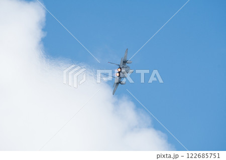 大空を飛ぶF15J(第306飛行隊) 122685751