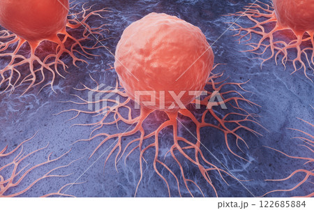 立体 3次元 3D 122685884