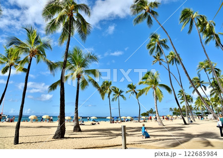 ハワイの休日 122685984