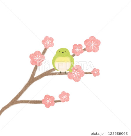かわいいメジロと梅の花の手書き風イラスト かわいいメジロと梅の花の手書き風イラスト 122686068