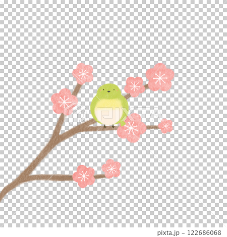 かわいいメジロと梅の花の手書き風イラスト かわいいメジロと梅の花の手書き風イラスト 122686068