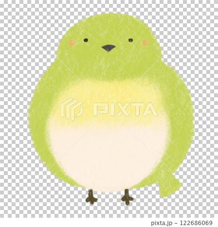 かわいいメジロの手書き風イラスト 122686069