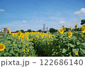 ひまわり 122686140